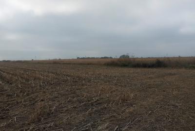 Teren de casa 500mp in Brasov Teren de casa 500mp in Brasov - 2