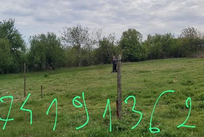 Spațiu comercial, în Șimian - 7