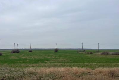 Giurgiu-Marsa Teren Agricol 8.5 Ha - 4