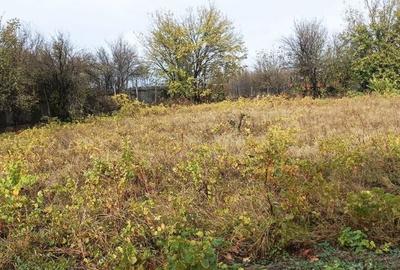 Casă cu 3 camere cu Teren 2493 Mp în Pădina - 8