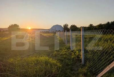 Casă cu 3 camere cu Teren 500 Mp în Central - 4