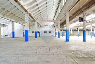 Inchiriere spatiu industrial, depozit, langa Brasov, Acces TIR - 10