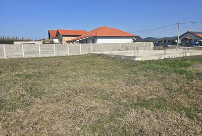 Casă cu 4 camere în Parța - 7