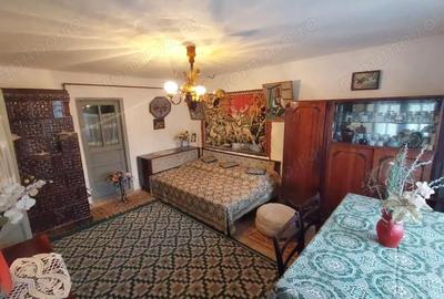Casă cu 3 camere cu Teren 1900 Mp în Măgura - 15