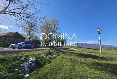 Teren de 4606 mp, în Runcu - 1