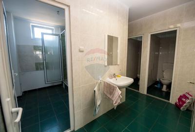 Hala industriala P+1 - 490 mp utili | Teren 2.447 mp | Platforma beton - 15