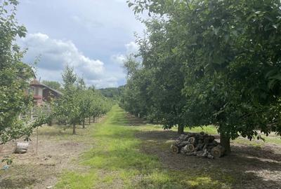 Spațiu comercial, în Gemenea-Brătulești - 2