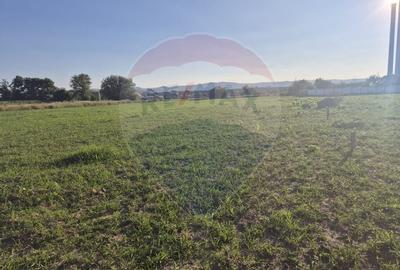 Teren 5,000mp Rusi-Ciutea / Strada Margaretelor - 9