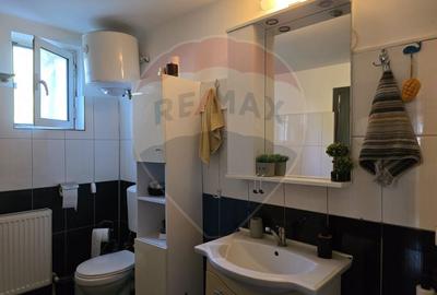 Casă / Vilă cu 5 camere de vânzare în zona George Enescu - 22