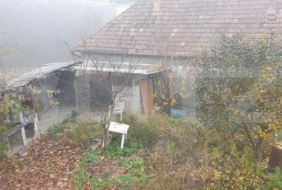 Casa de 300 mp, teren, 500 mp, Sangeorgiu de Mures - 5