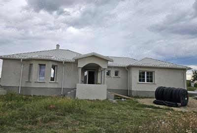 Casă cu Teren 2034 Mp în Mândruloc - 8