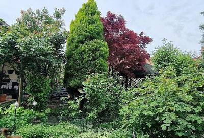 Casă cu 5 camere cu Teren 553 Mp în Bălcescu - 2