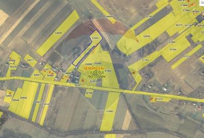 Casa  de vanzare cu teren 9200 mp, Padureni-Sendriceni, Botosani - 12