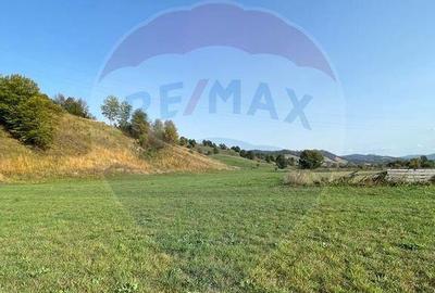 Teren Manastirea Humorului / Strada Principala 22,238 MP - 3