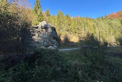 Teren în Podu Dâmboviței - 1