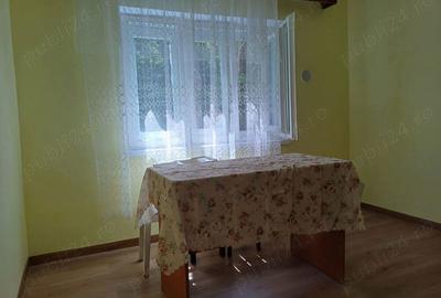 Vand camera de camin - 5