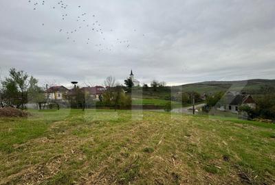 Casa individuala, 3300 mp teren, zona Sintereag - 10