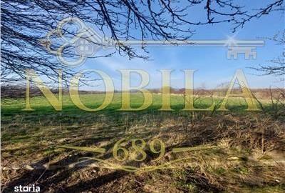 Spațiu comercial, în Central - 4