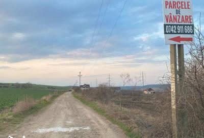 Teren de 508 mp, în Valea Lupului - 5