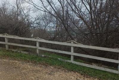 Teren de 1200 mp, în Central - 5