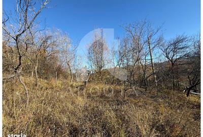 Spațiu comercial, în Valea Banului - 1