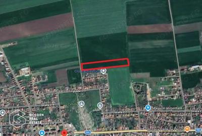 Teren de 40000 mp, în Est