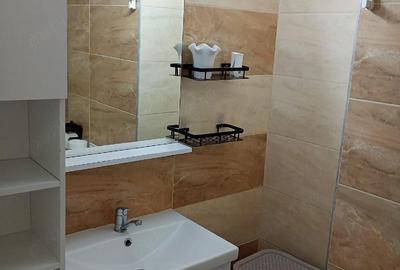 Apartament cu 2 camere semidecomandat în Tudor Vladimirescu - 2