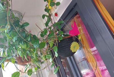 Garsonieră decomandată în Titan - 2