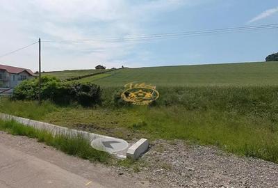 Teren de 2171 mp, în Sânișor - 4