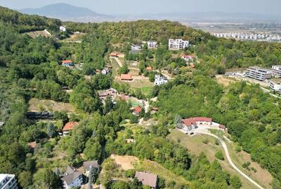 Teren intravilan Brasovul Vechi - 11