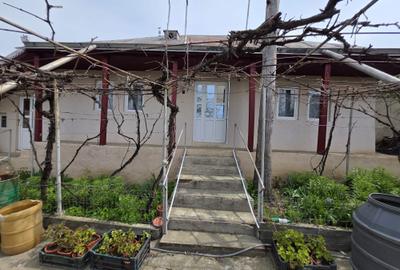 Casă cu 3 camere în Secuieni - 4