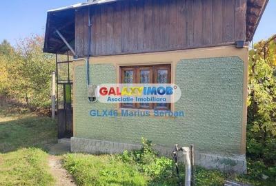 Vanzare casa batraneasca  si teren Raciu - 6