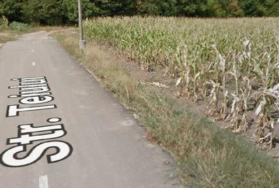 Teren de 5300 mp, în Poiana lui Stângă - 3