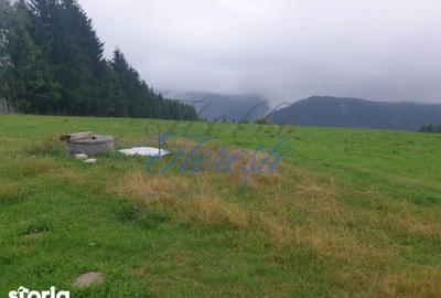 Teren de 10989 mp, în Râșca