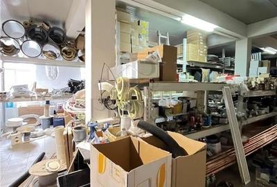 Mircea Cel Batran - Casa individuala - SAD - Pretabil afacere - 710mp utili - Te - 14