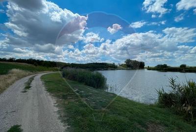 Teren agricol extravilan de 4350 mp, în Vasilați - 2