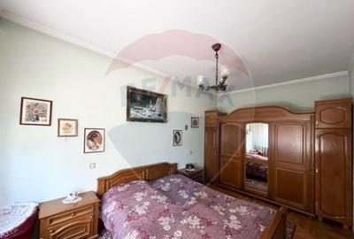 Casa str. Progresului , Sebes, destinatie : uni/multifam... - 7