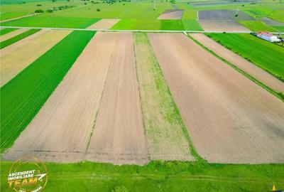 FILM! Teren intravilan industial, cu PUZ si acces la DJ112, Sfantu Gheorghe - 8