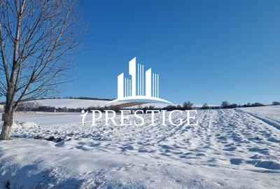 Teren agricol extravilan de 6695 mp, în Șura Mare - 2