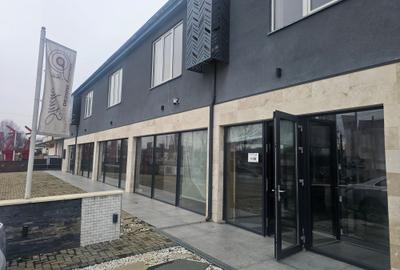 Spațiu comercial, de 480 mp, în Tătărași - 1