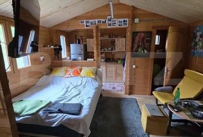 Cabana 62 mp construiti, teren de 750 mp, Valea Ierii - 6