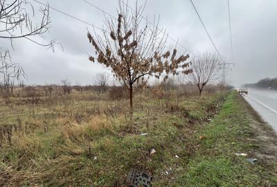Teren Construcții extravilan de 8874 mp, în Tărtășești - 9