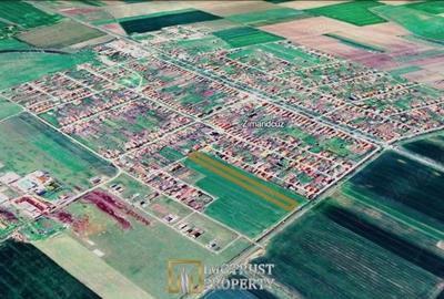 Teren de 7317 mp, în Zimandcuz - 6