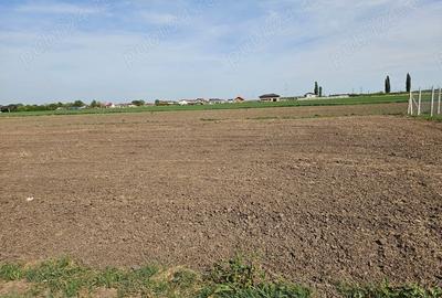 Teren de 994 mp, în Covaci - 4