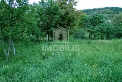 Teren de 994 mp, în Budiu Mic - 8