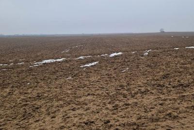 Spațiu comercial, în Malu Mare