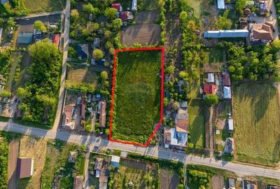 Teren de 4734 mp, în Ciocești - 7