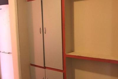 Apartament cu 2 camere decomandat, mobilat în Lipovei - 10