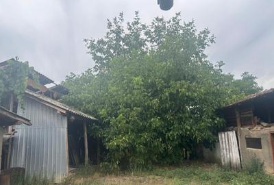 Casa recent renovata, 2023 mp teren, comuna Leu , RATE !!! - 4