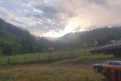 Casă cu 3 camere în Panaci - 3